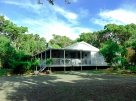 HouseWrenWood-1a