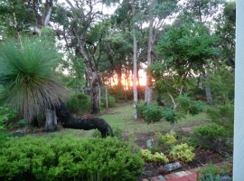 gallery_property_04